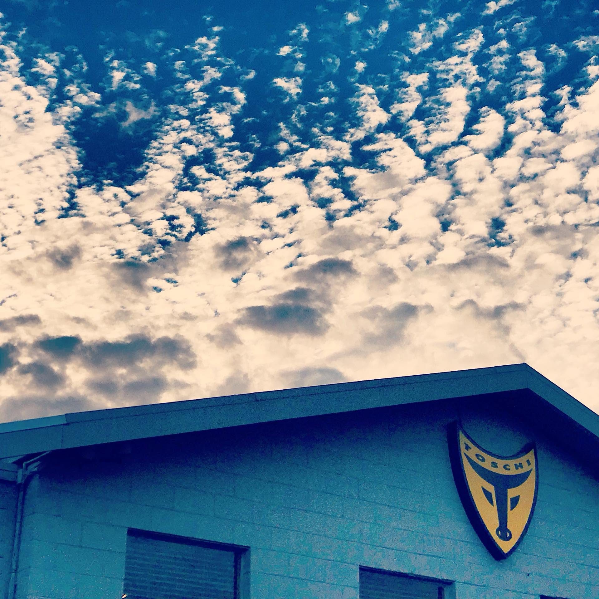 The Toschi crest on the building against a sky of clouds